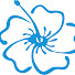 pHqa0XylLPo-channel-avatar-Hawaii Parkinson Association