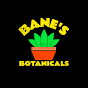 Bane's Botanicals logo
