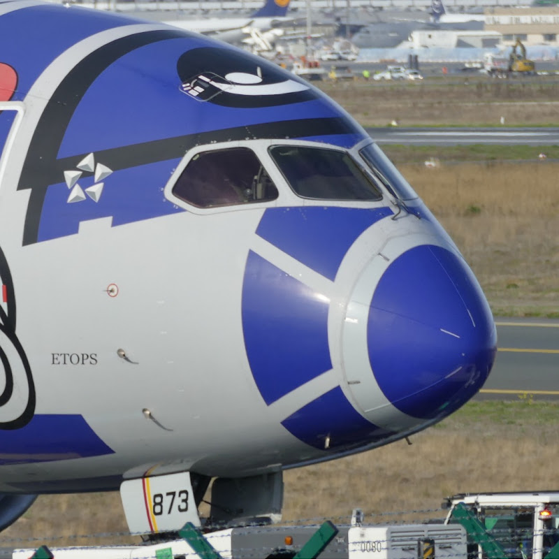 Airplane Live