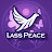 @LassPeace-LP