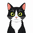7hXfaL8Vue4-channel-avatar-Feline Decoder