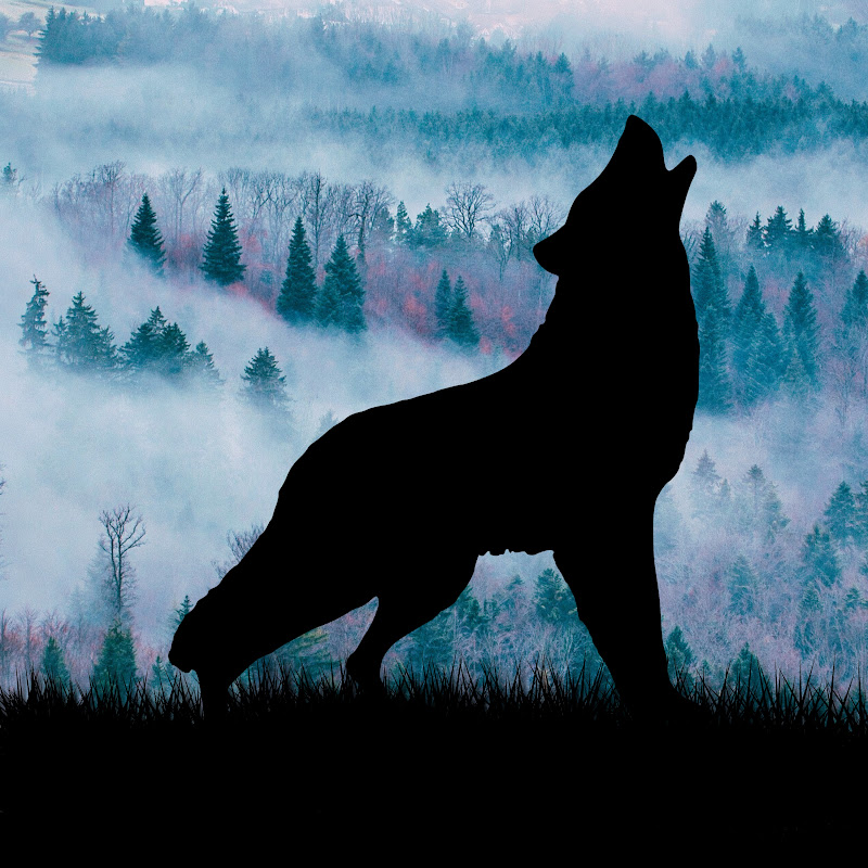 Nature Soundscape - Topic