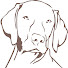 R5MiNm_JpOk-channel-avatar-Tierschutzverein pro-canalba e.V.