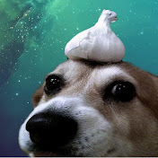 Animals in focus
