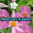 p2KxjtdJ3nI-channel-avatar-Plants care and nature