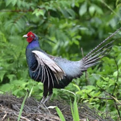 皇室と共に歩む