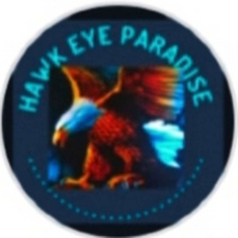 HAWK EYE PARADISE