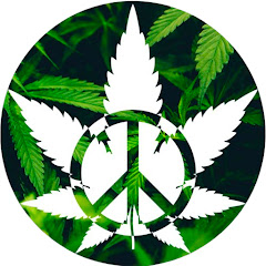 New Reggae 2024