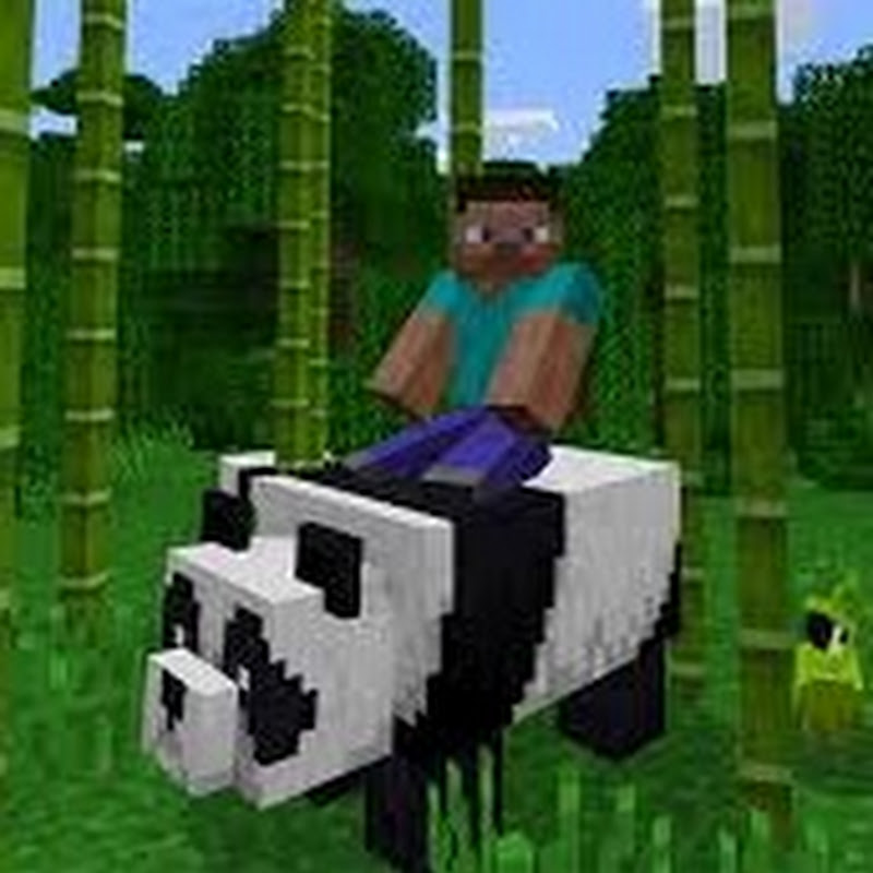 Mine Panda TV