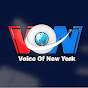 Voice of New York logo