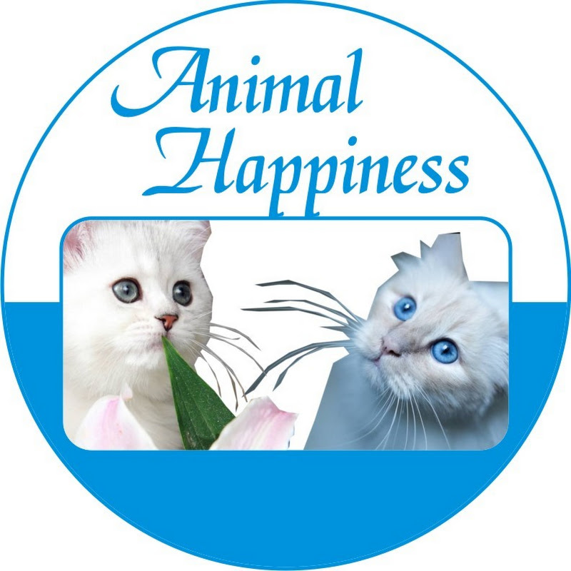 Animals Entertainment TV
