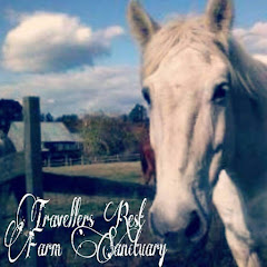 Travellers Rest Farm Sanctuary