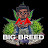 @BigBreed345