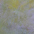 i4UZwBwgcMU-channel-avatar-The Golden Studio
