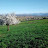 @hichamloukman