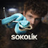 bEEKcaN6IKM-channel-avatar-SOKOLÍK