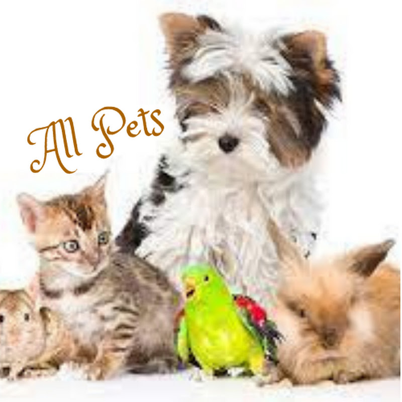 All Pet Lovers icon