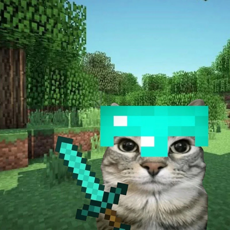 Love Minecraft