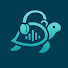 etGiZafja-s-channel-avatar-The Ambient Turtle