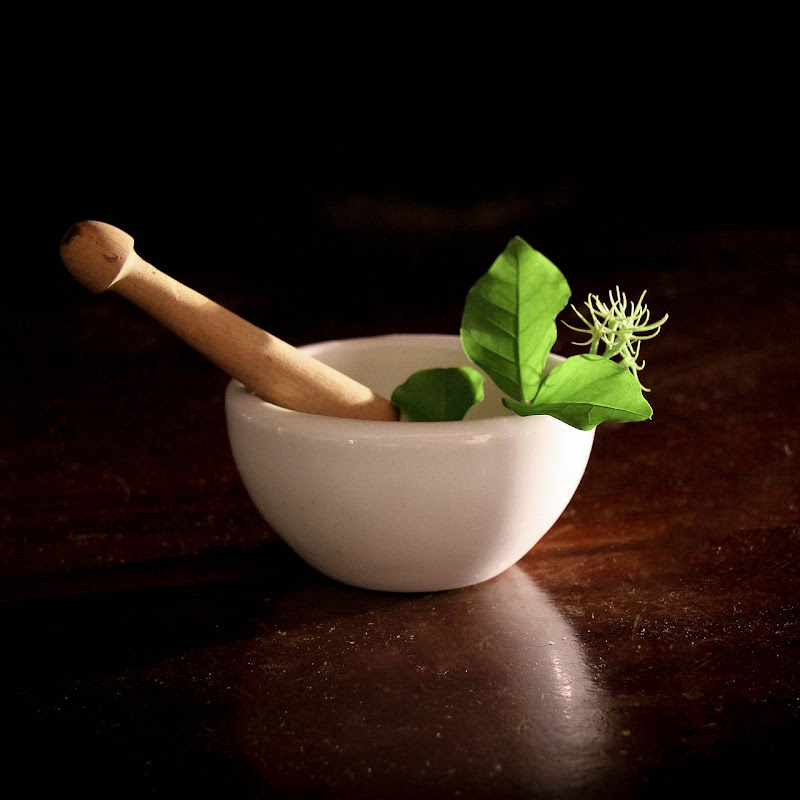 Trusted Natural Remedies