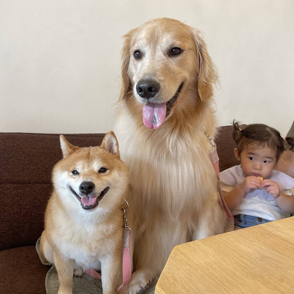 haruPARM2点おまとめページ Help Online - Tutorials - Error Bars with Fill Area