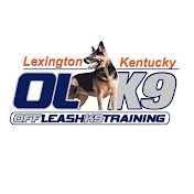 Off Leash K9 Training - Lexington