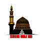SUNNI WAZ HD logo