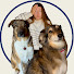 li-PWPT6_3A-channel-avatar-TALKWITHDOG