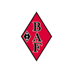 Bam Adebayo Foundation