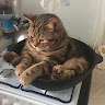 Автор