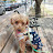 @장진철-b4l