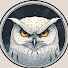 cXClTSZEL9g-channel-avatar-OWL CLANDESTINE