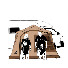 ToMq34oSW0Y-channel-avatar-いなキャン△