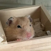 ししまる