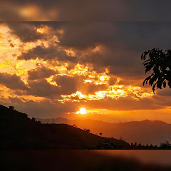 Trio Armonia - Topic