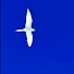 lRBT-UirE4g-channel-avatar-MarDaMind