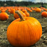 eNZEC8XYRZ0-channel-avatar-CosmicPumpkin