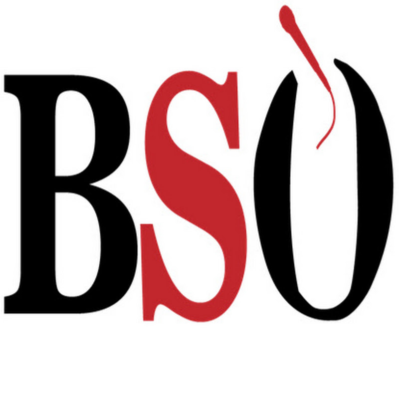 BSOTV with Robert Littal icon