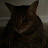 @AmeraPrice-l6z Avatar