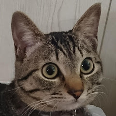 ちゅる