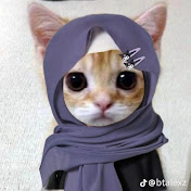 @hijabii