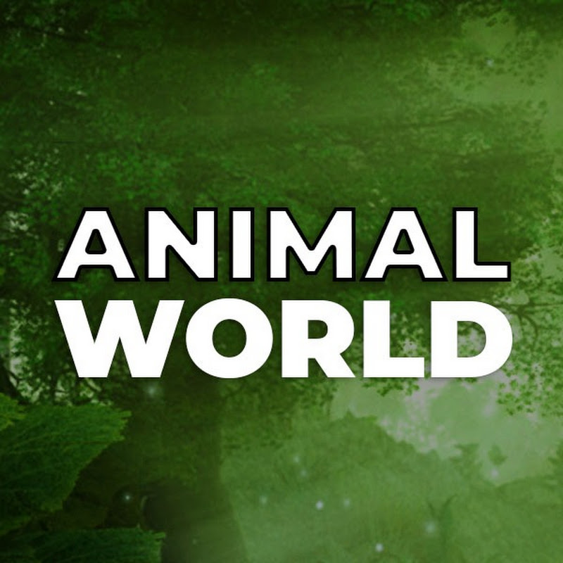 Animal World