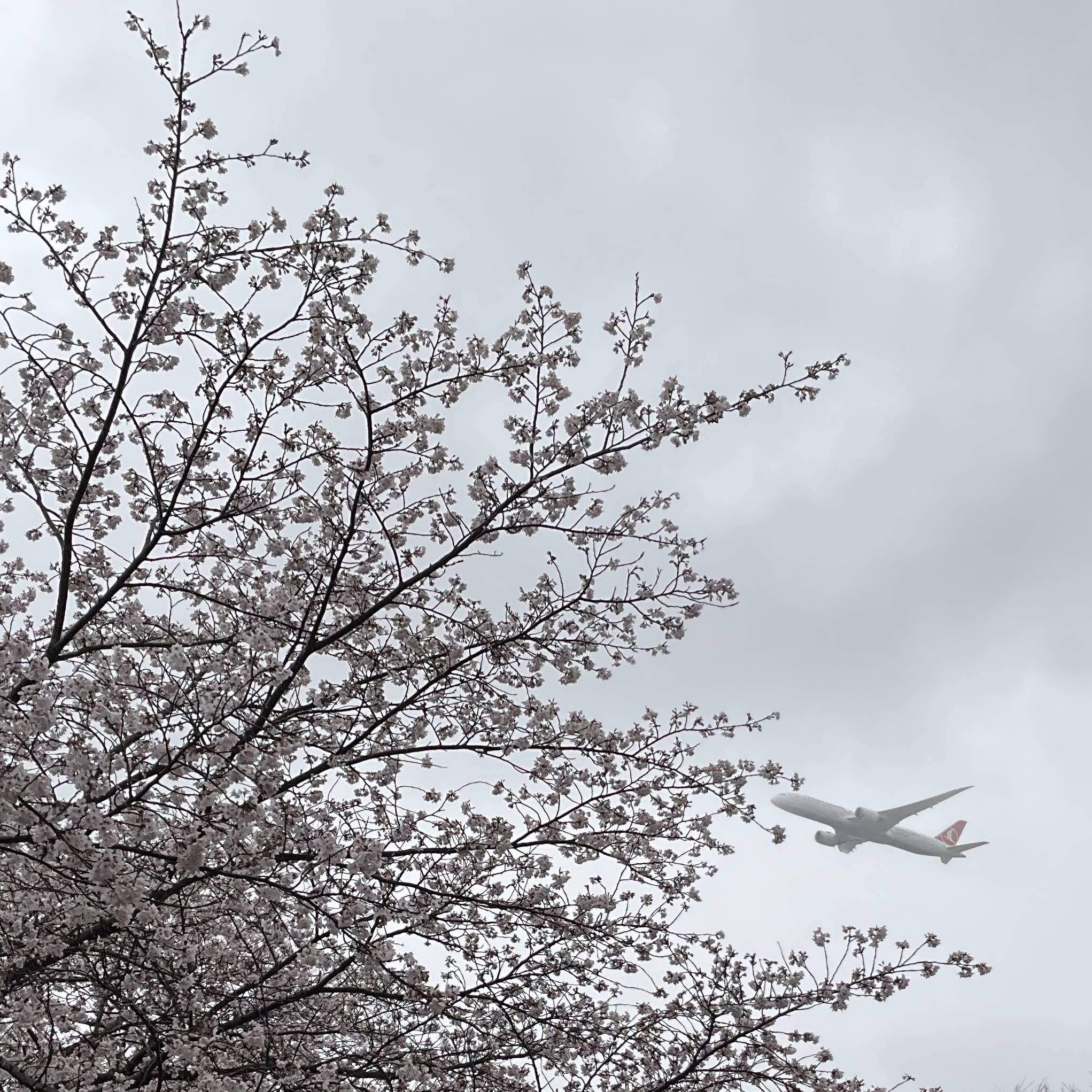 Post from 関西airtrains