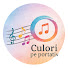 kHXckIfhKDA-channel-avatar-Culori pe portativ