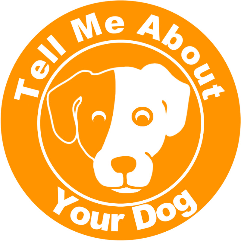 Tell Me About Your Dog