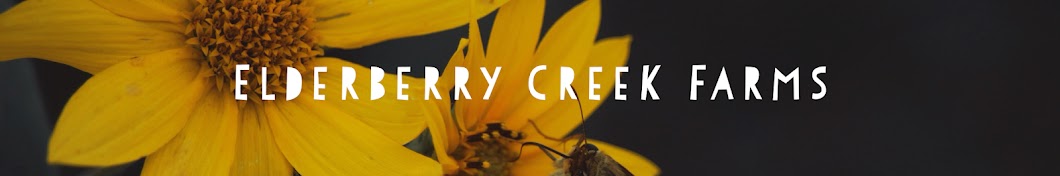 Elderberry Creek Farms Аватар канала YouTube