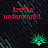 @arcticunderworld8182