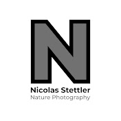 Nicolas Stettler