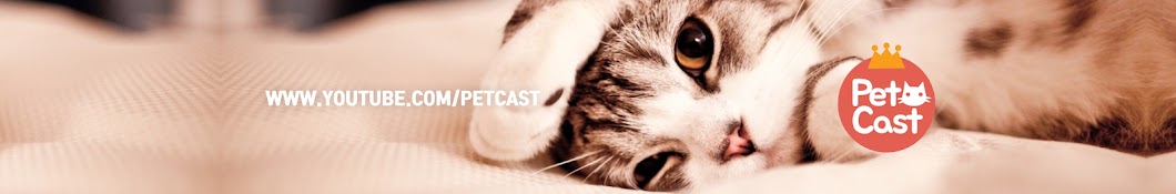 PetCast YouTube channel avatar