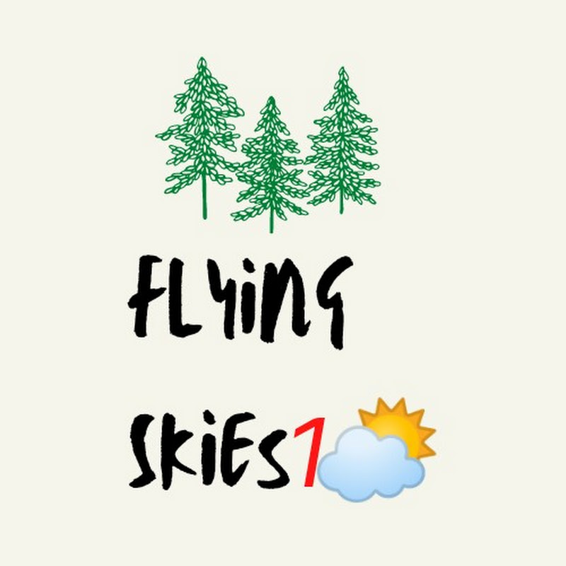 Flying Skies1